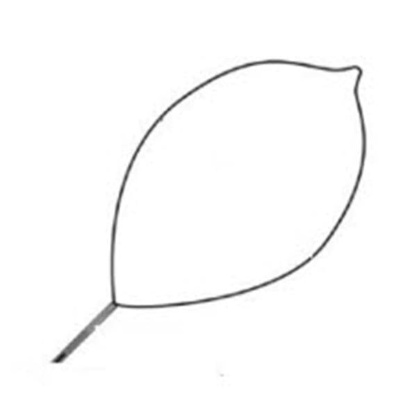 Snare Polypectomy Optimizer Firm Loop Wire Oval Large 10/Ca